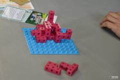 PlanszowkiPodSzyndzielniabialikart-183-of-417