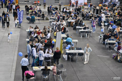 PlanszowkiPodSzyndzielniabialikart-240-of-417