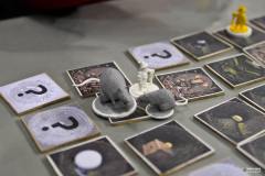 PlanszowkiPodSzyndzielniabialikart-403-of-417